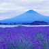 屋外の景色