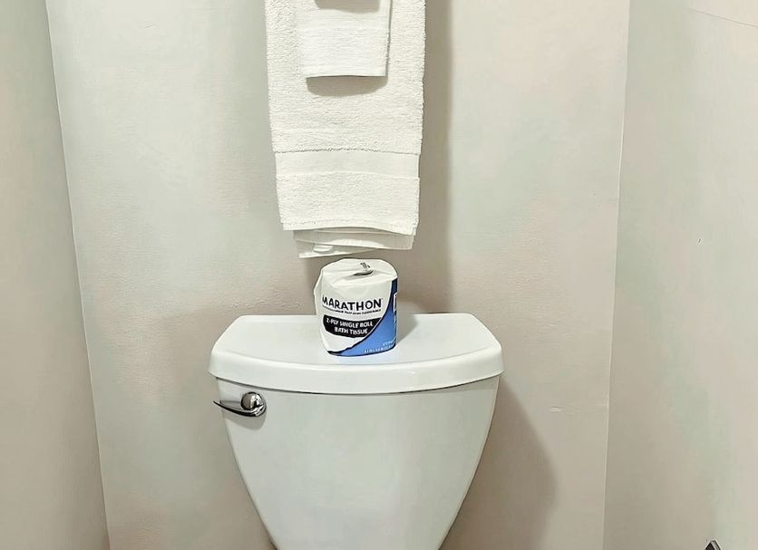 その他 写真