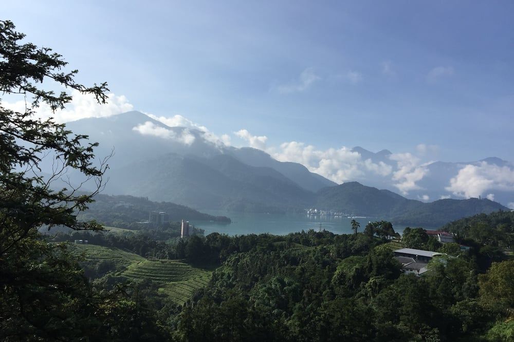 屋外の景色