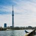 屋外の景色