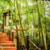 屋外の景色