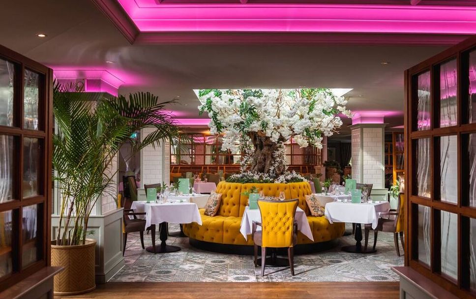 レストラン 写真