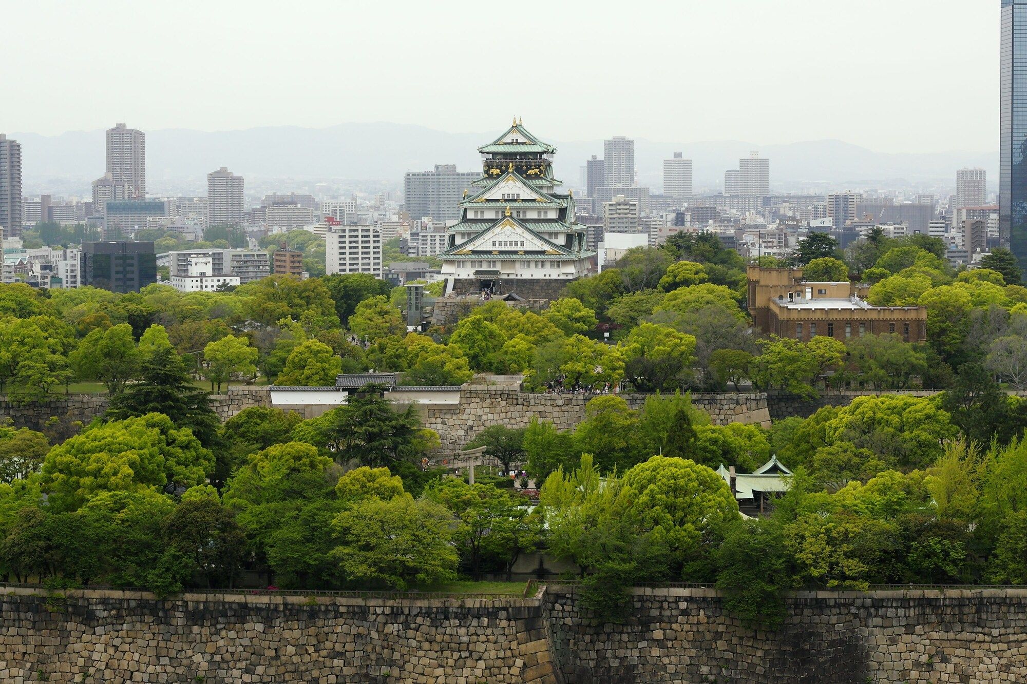 屋外の景色