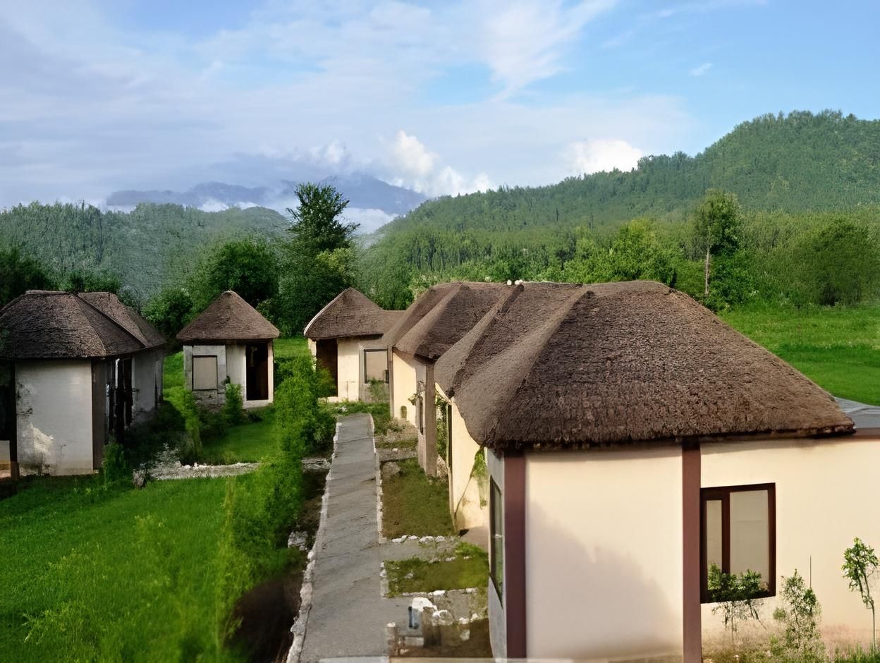 屋外の景色