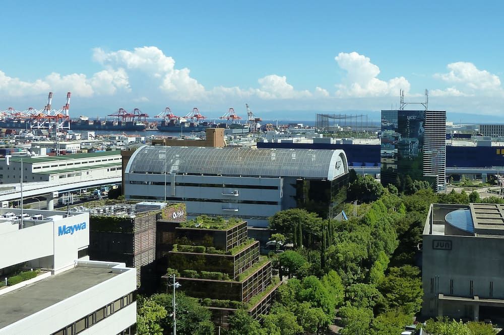 屋外の景色