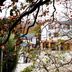 屋外の景色