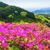 屋外の景色