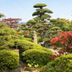 屋外の景色