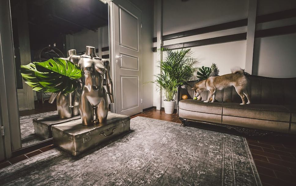 リビングルーム 写真