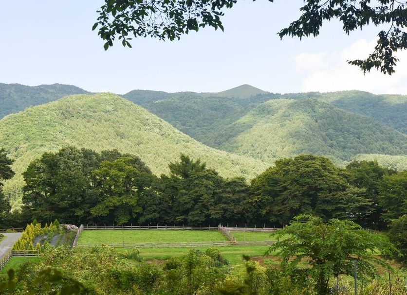 屋外の景色 写真