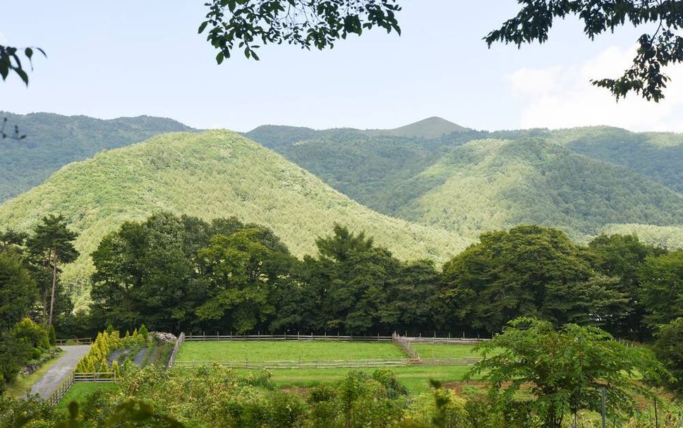 屋外の景色 写真