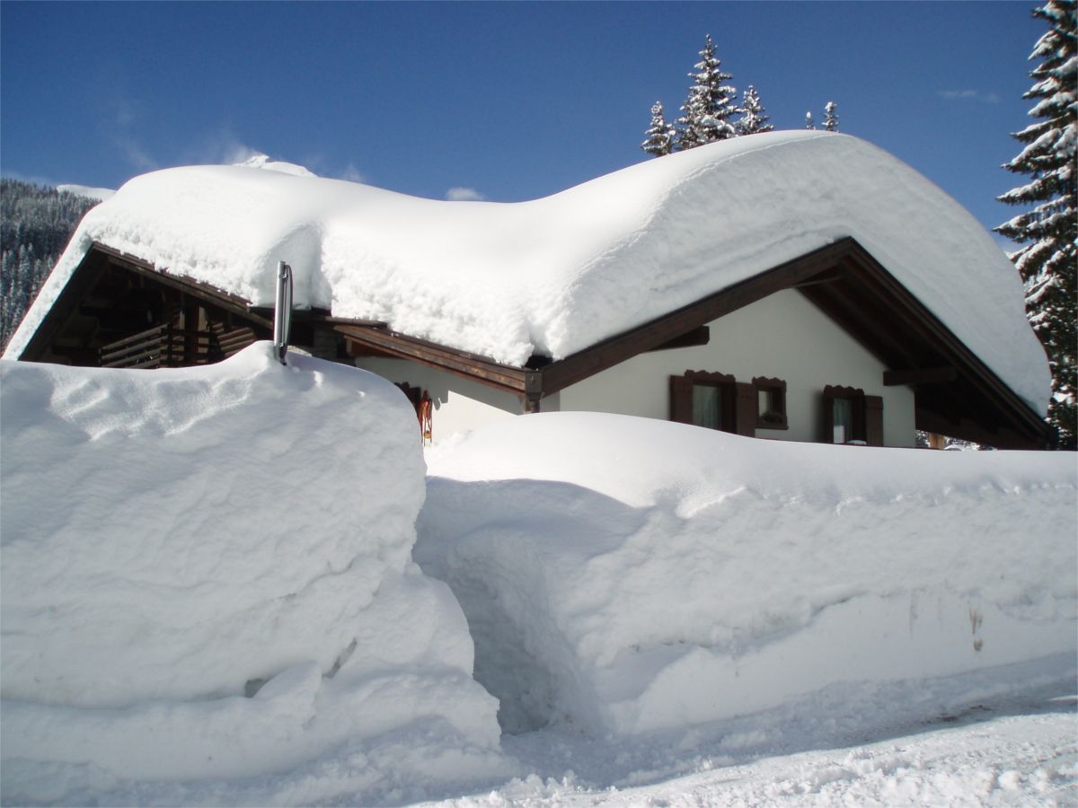 屋外の景色