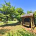 屋外の景色