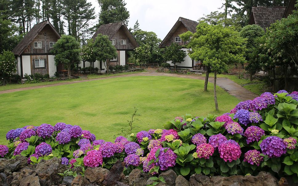 建物 写真