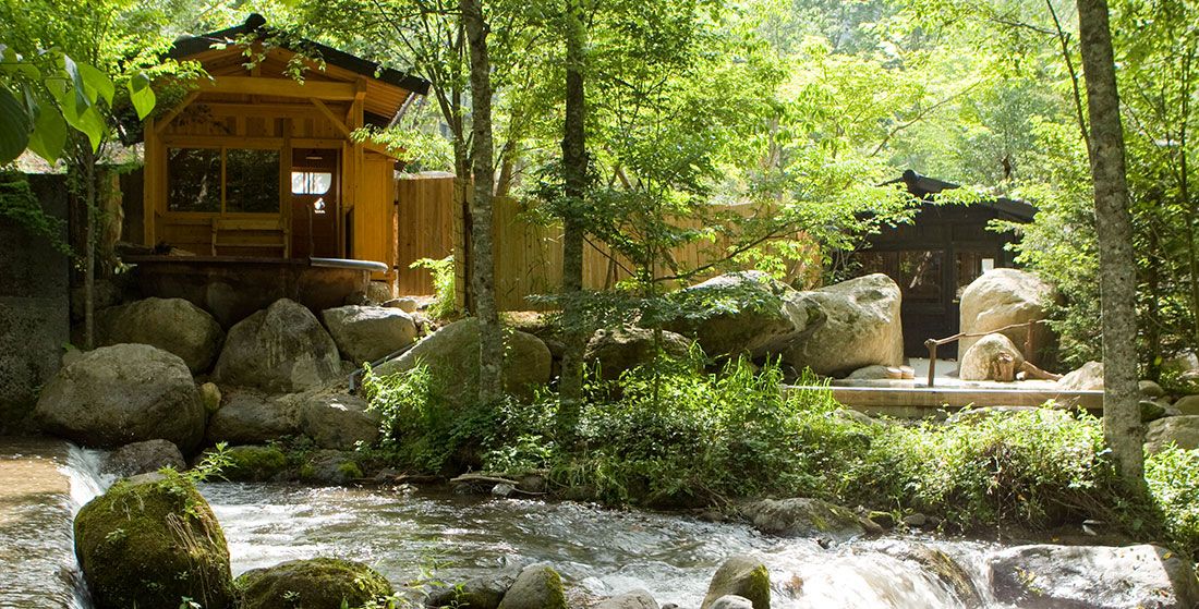 屋外の景色
