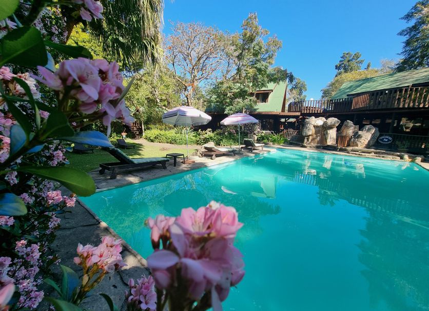 プール 写真