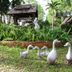 屋外の景色