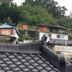屋外の景色
