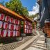 屋外の景色