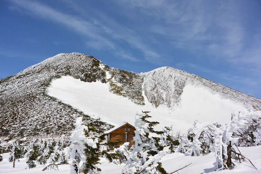 屋外の景色