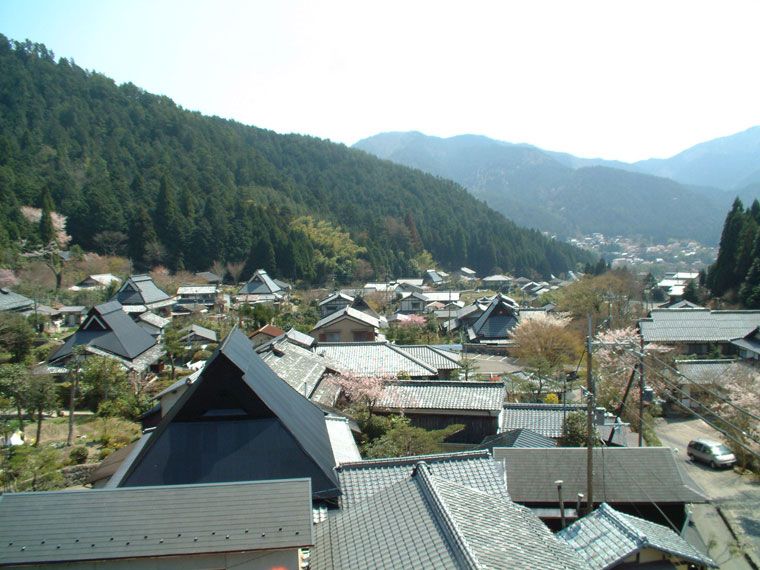 屋外の景色