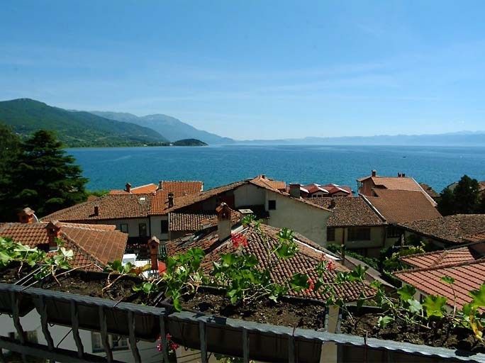 屋外の景色