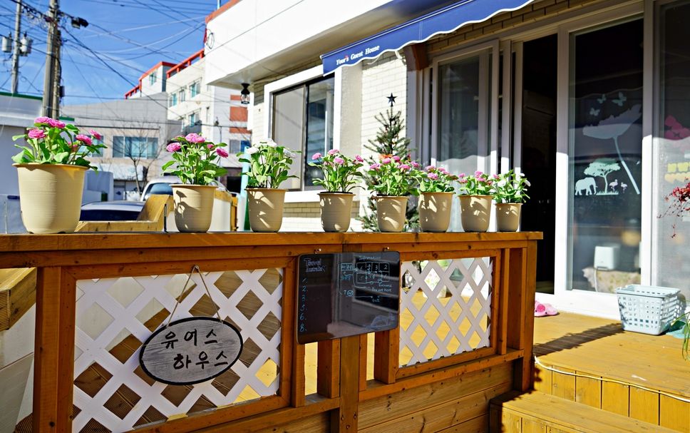 屋外の景色 写真