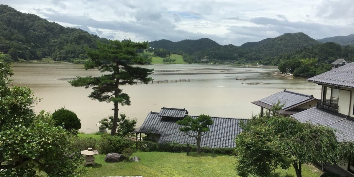 屋外の景色