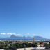 屋外の景色