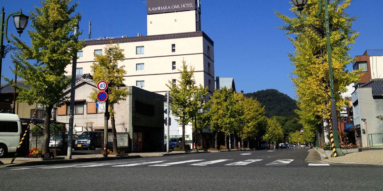 屋外の景色