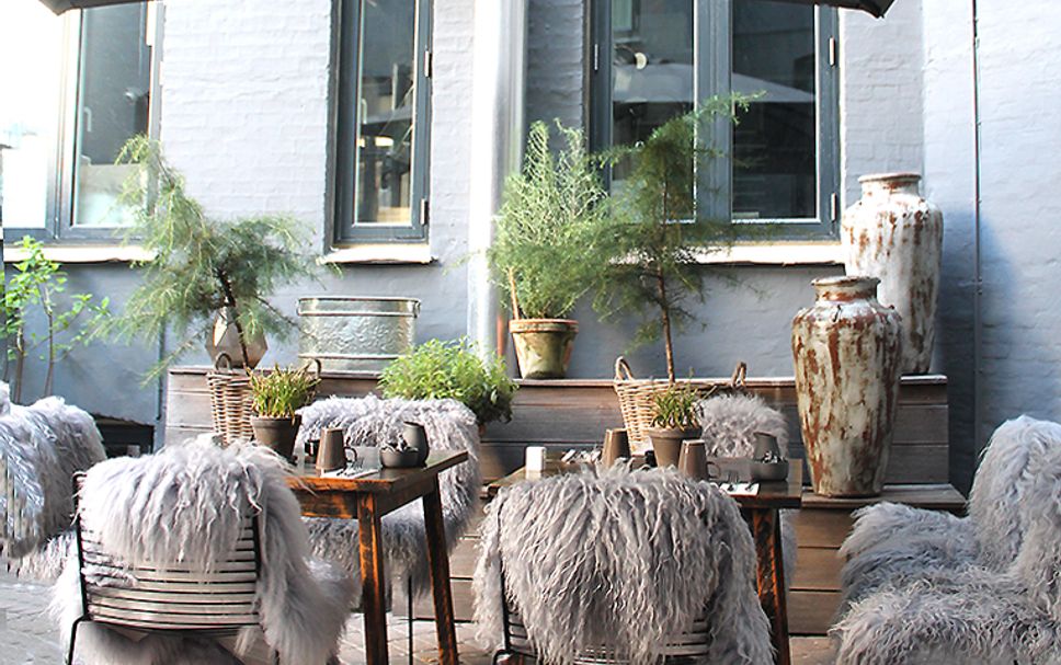 レストラン 写真