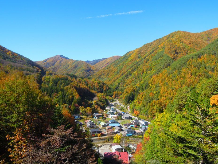 屋外の景色