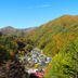 屋外の景色