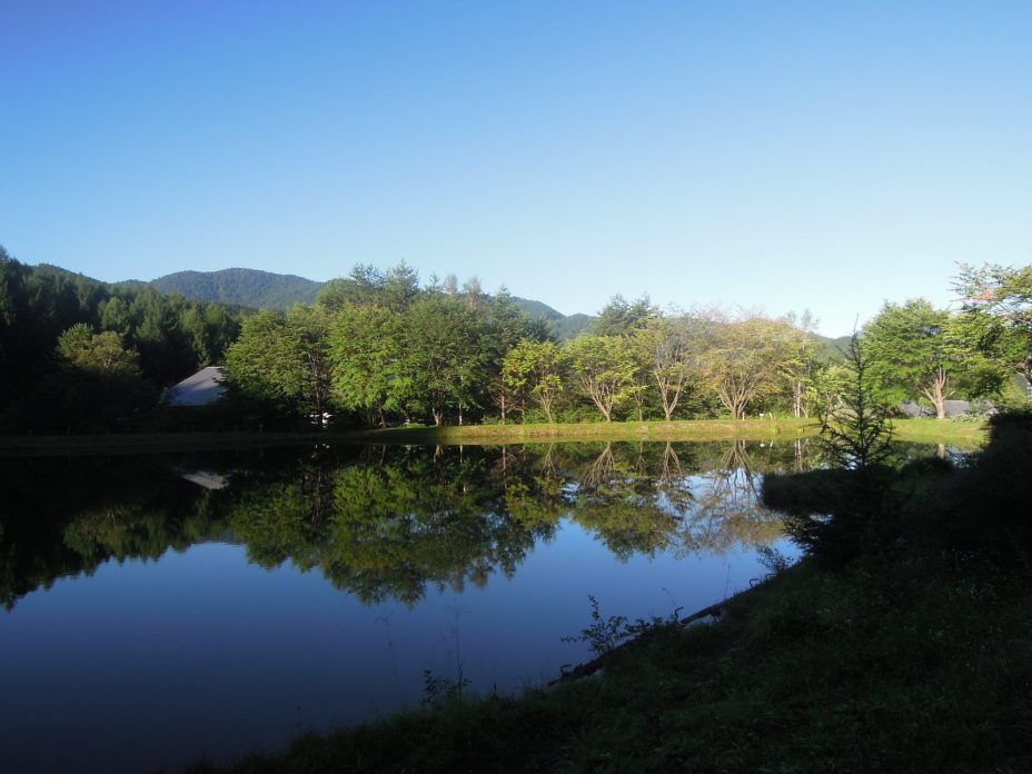 屋外の景色