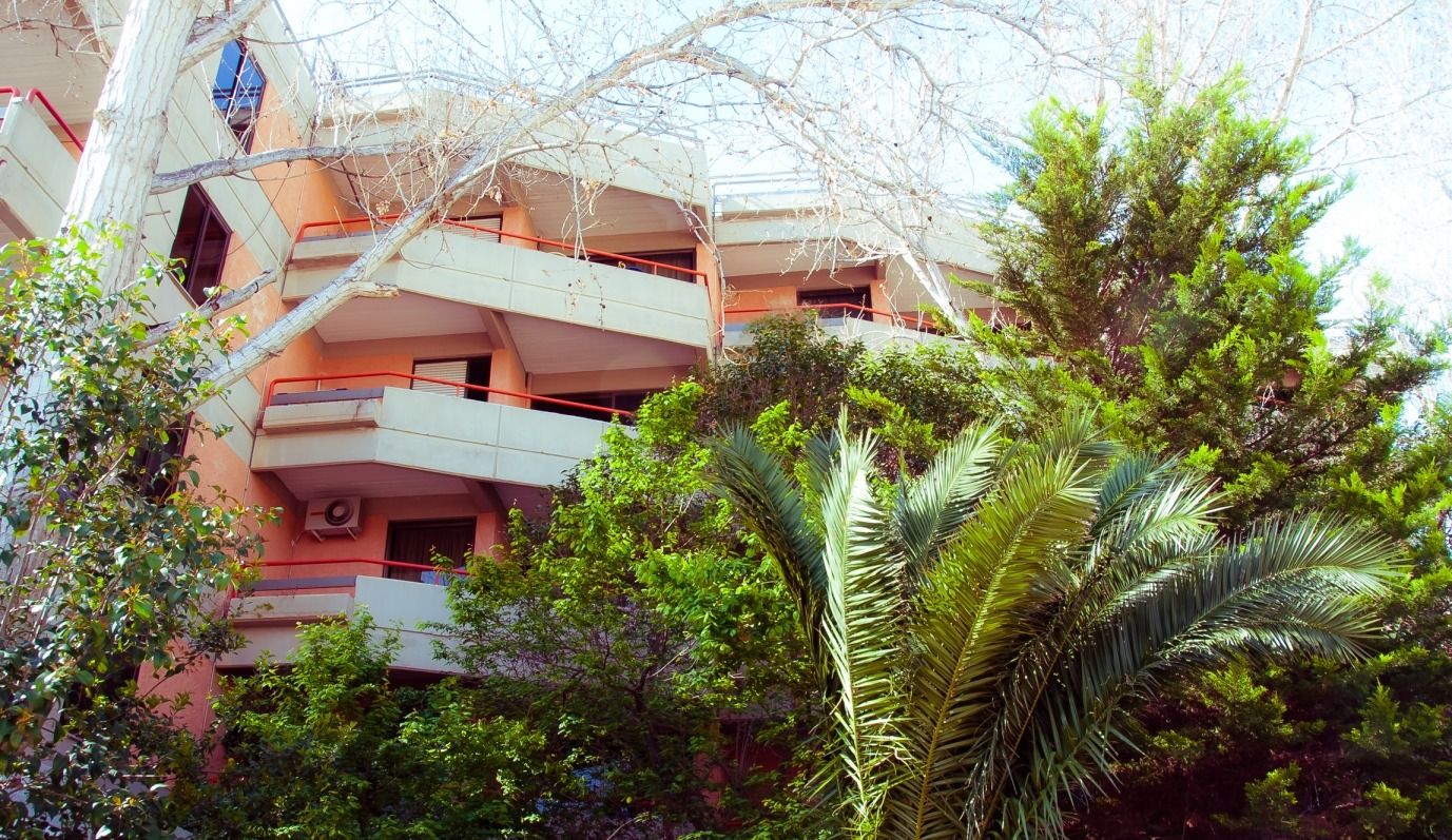 建物