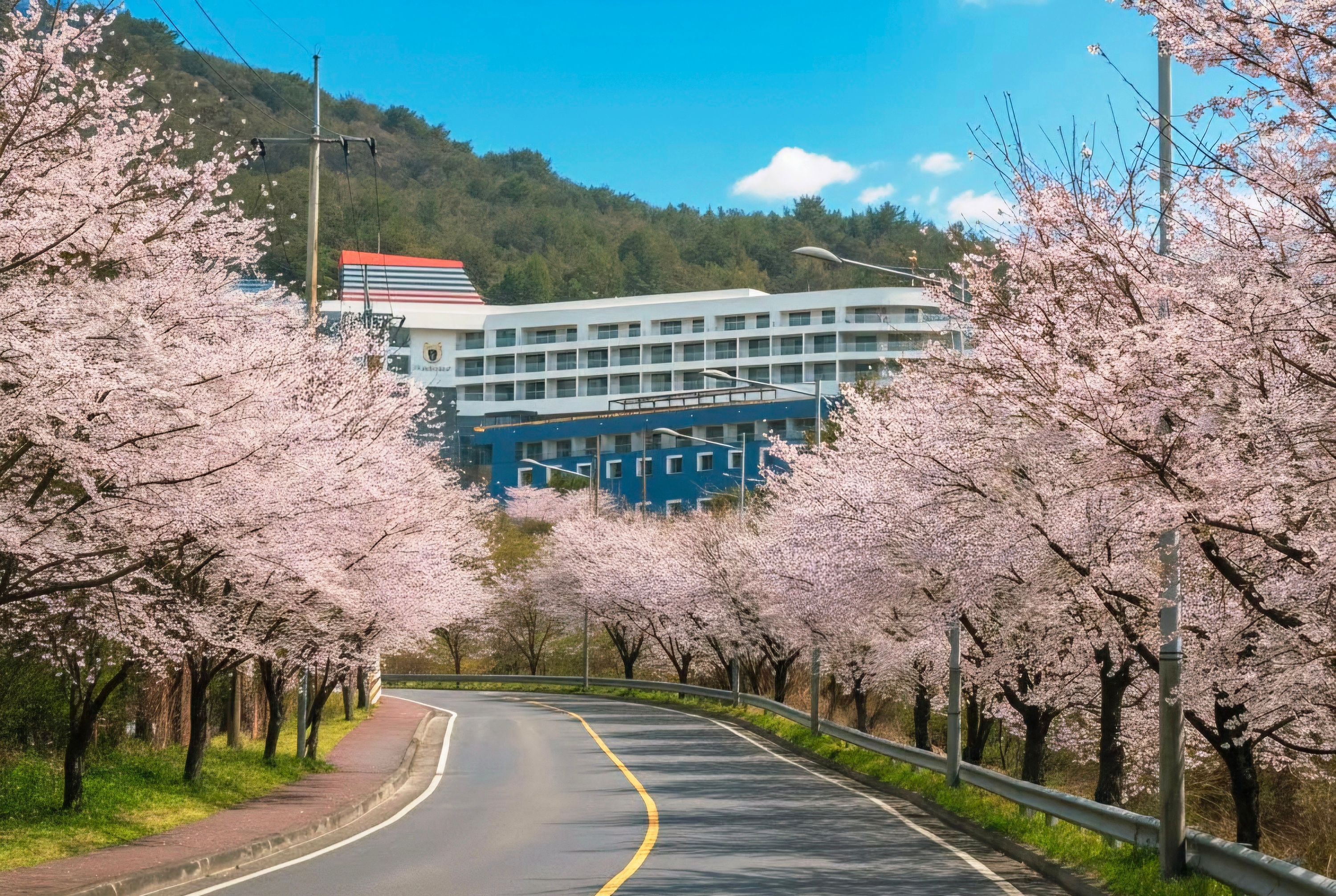 屋外の景色 写真