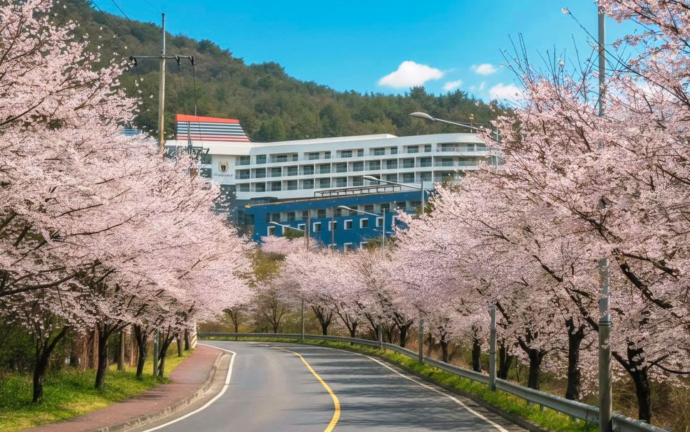 屋外の景色 写真