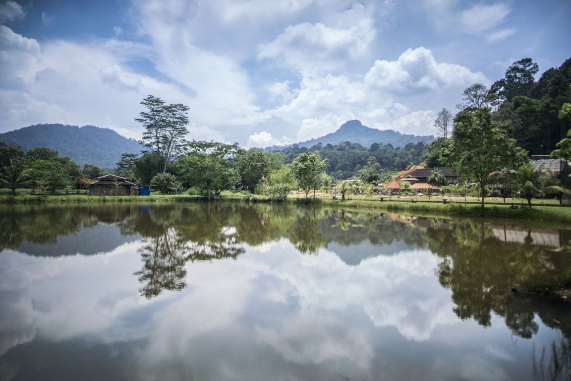 屋外の景色