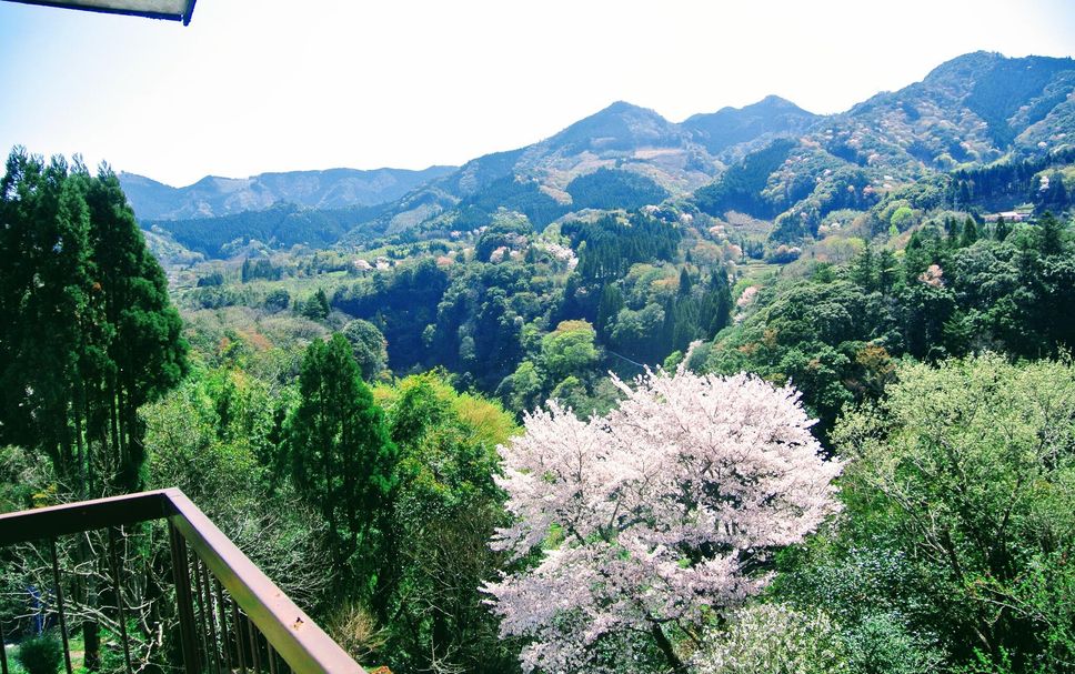 バルコニー 写真