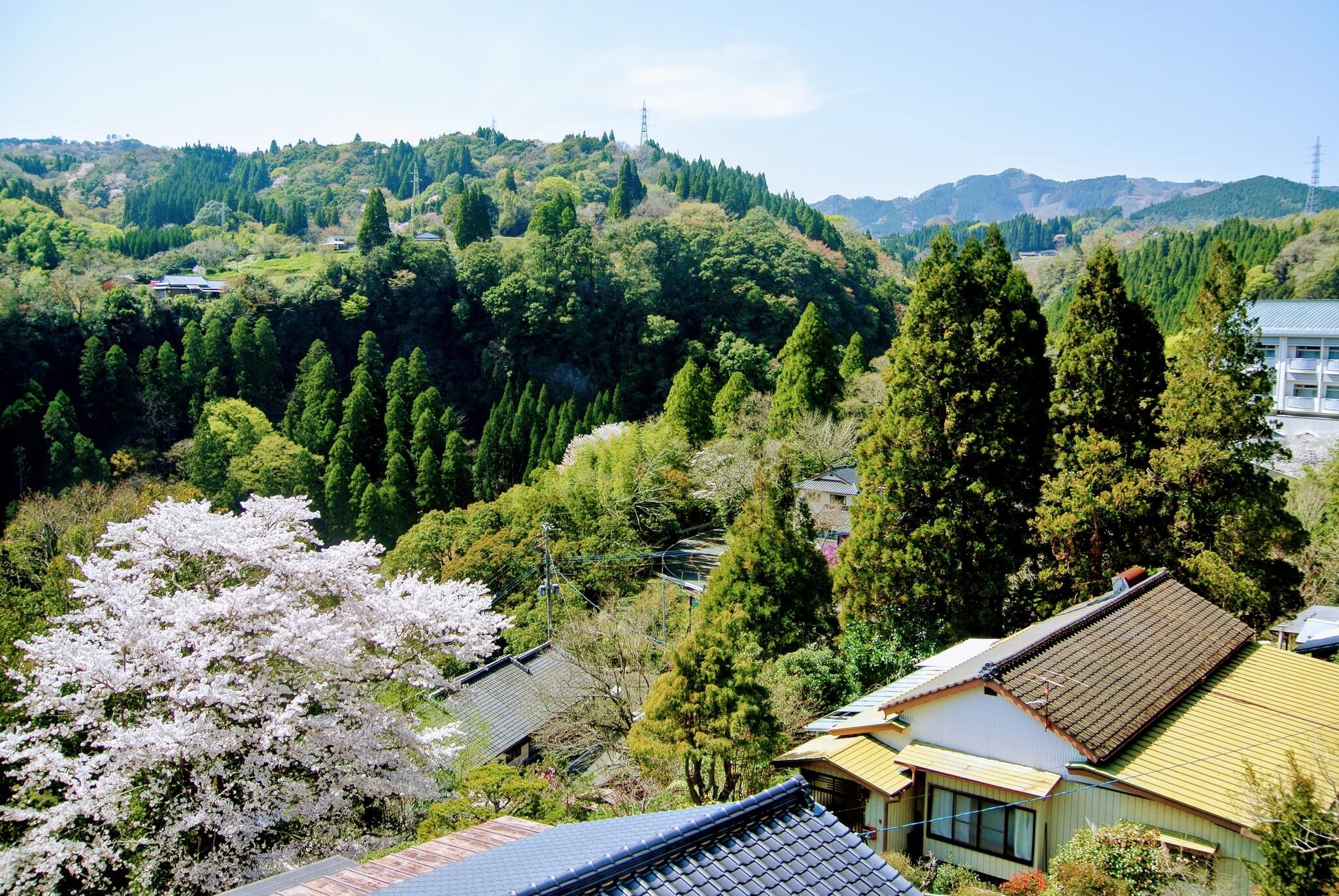 屋外の景色