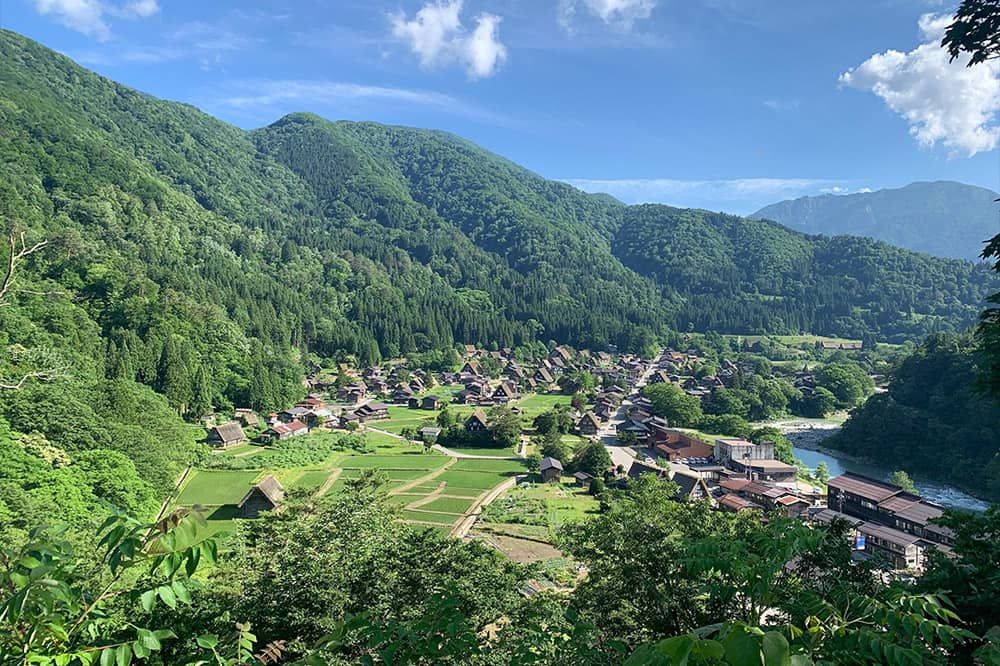 屋外の景色 写真