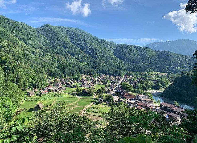 屋外の景色 写真