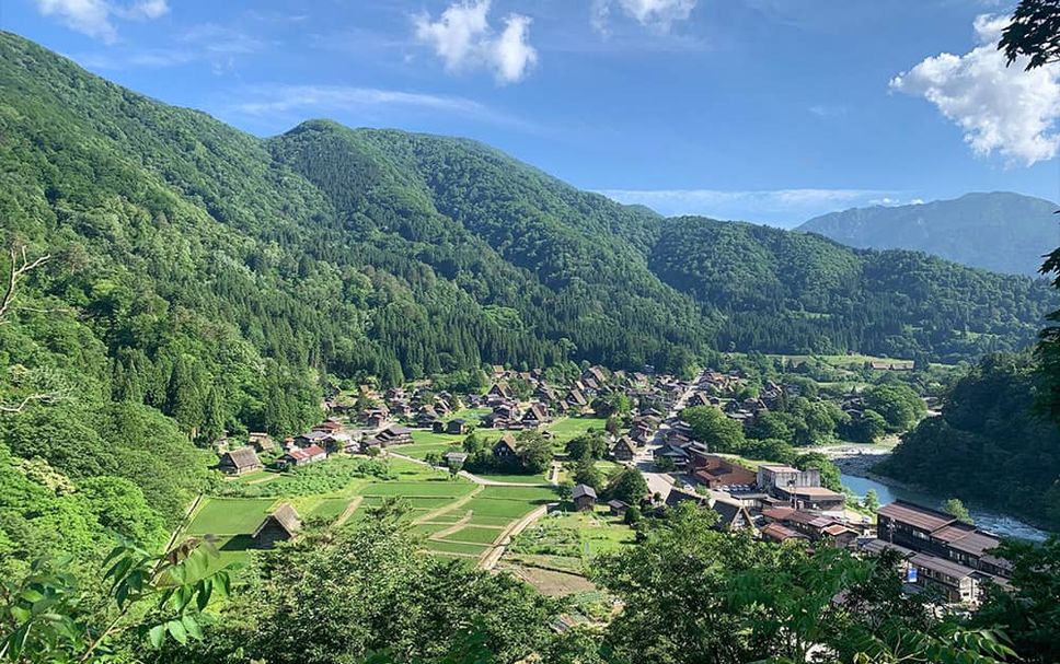 屋外の景色 写真