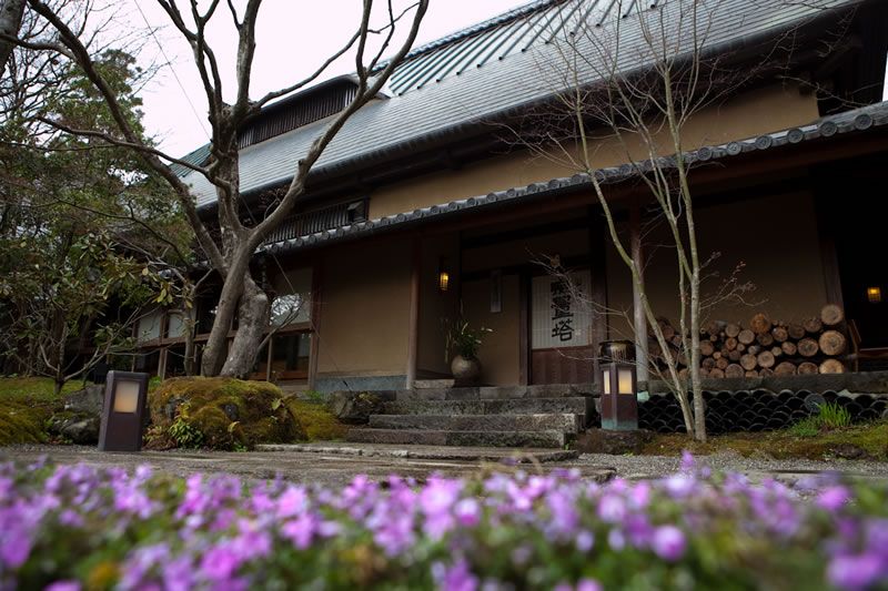 屋外の景色
